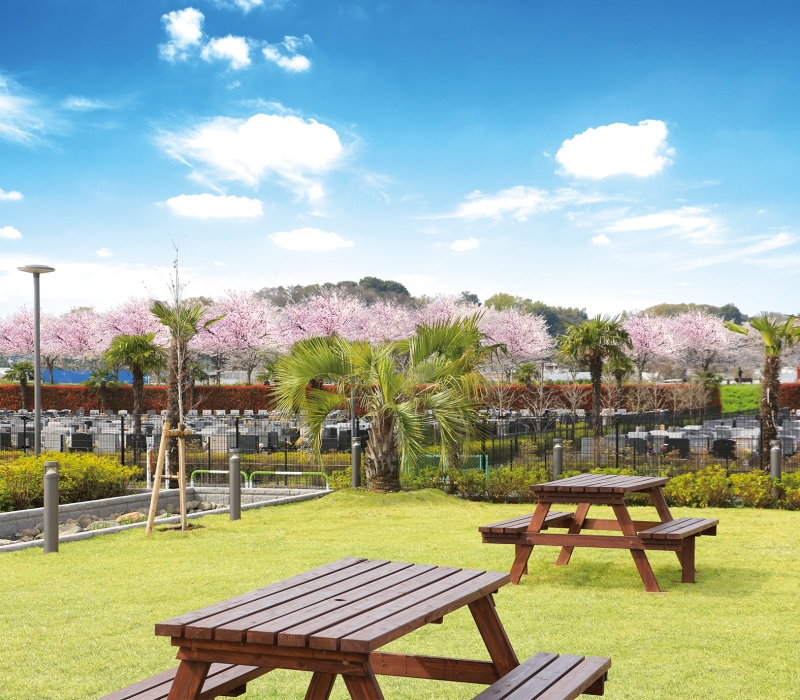 園内から見える桜並木です